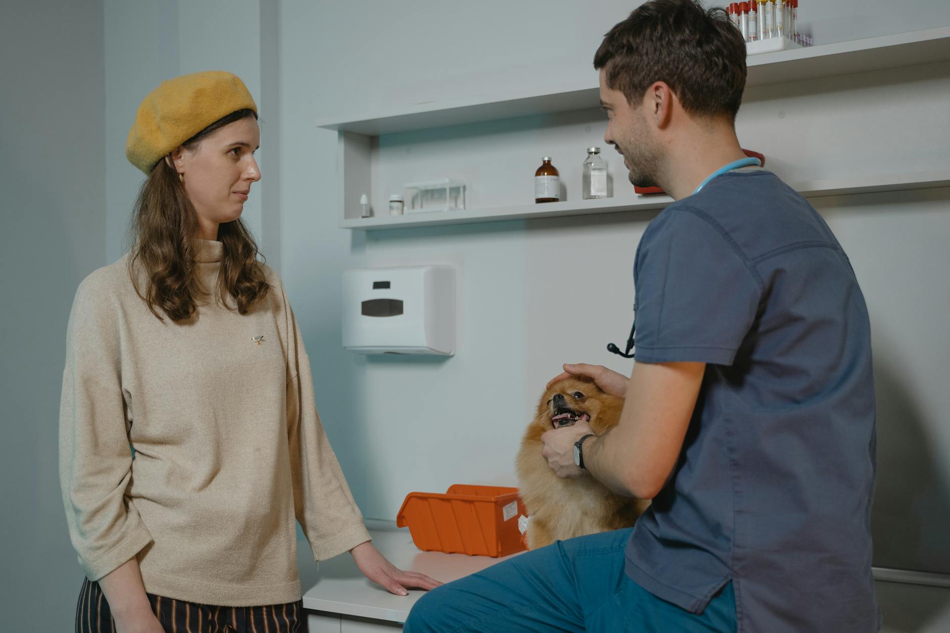 Weterynarz rozmawia z opiekunem i trzyma na rękach psa rasy pomeranian